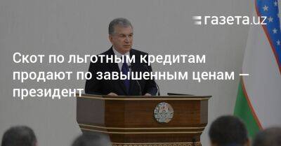 Скот по льготным кредитам продают по завышенным ценам — президент - gazeta.uz - Узбекистан