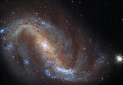 Расстояние в 24 млн световых лет от Земли: телескоп Хаббл сфотографировал галактику в созвездии Журавля (фото) - facenews.ua - Украина