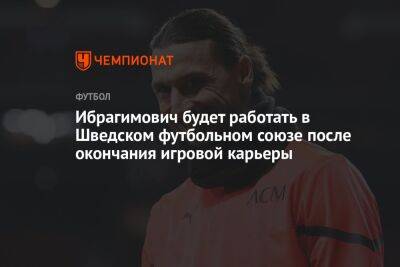 Златан Ибрагимович - Ибрагимович будет работать в Шведском футбольном союзе после окончания игровой карьеры - championat.com - Италия - Швеция