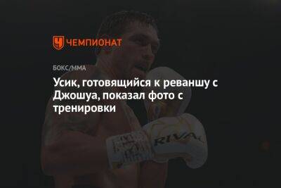 Александр Усик - Энтони Джошуа - Усик, готовящийся к реваншу с Джошуа, показал фото с тренировки - championat.com - Украина - Англия