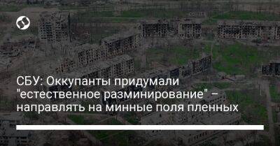 СБУ: Оккупанты придумали "естественное разминирование" – направлять на минные поля пленных - liga.net - Россия - Украина - Николаевская обл. - Мариуполь - Мелитополь