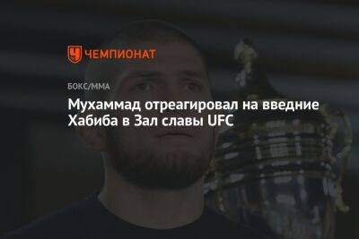 Хабиб Нурмагомедов - Джастин Гэтжи - Мухаммад Белал - Мухаммад отреагировал на введние Хабиба в Зал славы UFC - championat.com - США