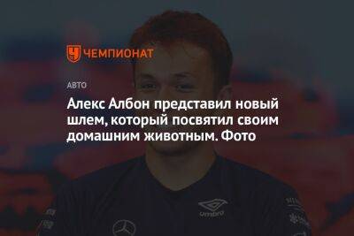 Алексей Албон - Алекс Албон представил новый шлем, который посвятил своим домашним животным. Фото - championat.com - Англия - Лондон - Таиланд