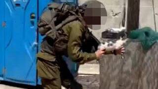 Видео: военнослужащая ЦАХАЛа использовала котенка, как автомат - vesty.co.il - Израиль