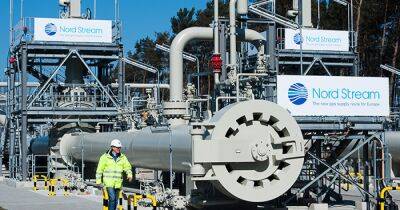 Роберт Хабек - Канада передаст "Газпрому" турбину для увеличения поставок газа в Германию, Украина против - focus.ua - Австрия - Россия - Украина - Италия - Германия - Канада