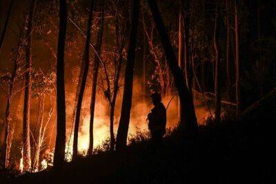 15 тысяч пожарных борются с лесными пожарами в Португалии: введено чрезвычайное положение - unn.com.ua - Украина - Киев - Испания - Португалия - Мозамбик