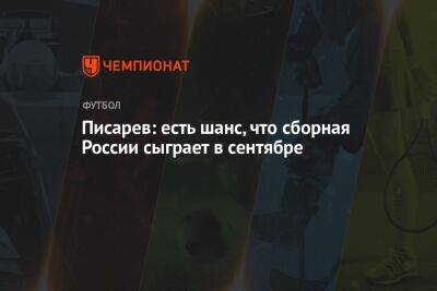 Николай Писарев - Писарев: есть шанс, что сборная России сыграет в сентябре - championat.com - Россия - Иран - Индия