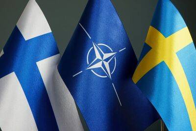 Виктория Чмилите-Нильсен - Швеция - Для ратификации вступления Швеции и Финляндии в НАТО созывается внеочередная сессия Сейма Литвы - obzor.lt - Россия - Украина - Швеция - Литва - Финляндия