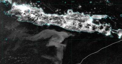 Стивен Миллер - Ученые впервые сделали снимок таинственного "молочного моря" в океане: что это такое - focus.ua - США - Украина - шт. Колорадо