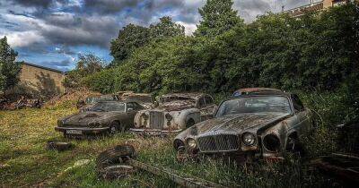 Ford Mustang - На заброшенном пустыре обнаружили кладбище редких британских ретро-авто (фото) - focus.ua - США - Украина - Англия