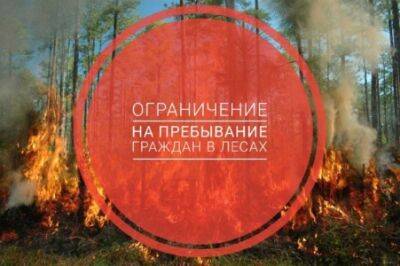 В связи с аномально жаркой погодой в Кунгурском округе ограничено посещение лесов - iskra-kungur.ru - Россия - Пермь - Пермский край - округ Кунгурский