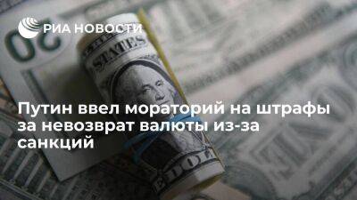 Владимир Путин - Путин подписал закон о моратории до 2023 года на штрафы за невозврат валюты из-за санкций - smartmoney.one - Россия