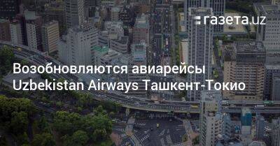 Возобновляются авиарейсы Uzbekistan Airways из Ташкента в Токио - gazeta.uz - Токио - Узбекистан - Ташкент