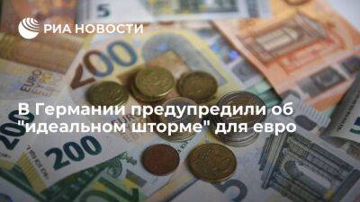 FAZ: в случае полного перекрытия поставок российского газа евро ждет серьезный удар - smartmoney.one - Москва - Россия - Германия - Москва
