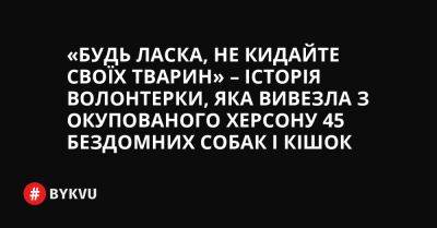 «Будь ласка, не кидайте своїх тварин» – історія волонтерки, яка вивезла з окупованого Херсону 45 бездомних собак і кішок - bykvu.com - Украина - місто Херсон