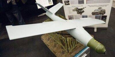 Поляки собирают деньги на 20 дронов-камикадзе Warmate. Их передадут Украине - nv.ua - Россия - Украина - Польша