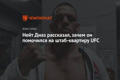 Дана Уайт - Нейт Диаз - Нейт Диаз рассказал, зачем он помочился на штаб-квартиру UFC - championat.com - США