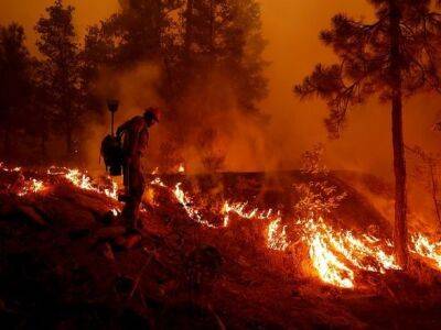 Лесные пожары продолжают распространяться выжигая побережье Франции - unn.com.ua - Украина - Киев - Франция - Париж - Бордо
