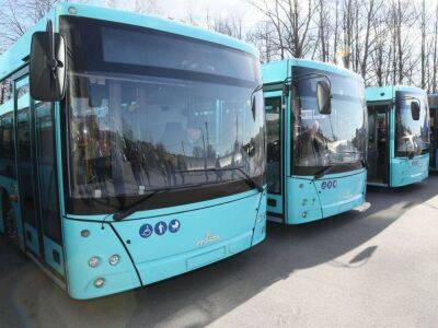Петербуржцы жалуются на давку в автобусах после старта третьего этапа реформы - smartmoney.one - Санкт-Петербург - Санкт-Петербург