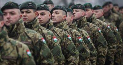 Петер Сийярто - Венгрия - В Венгрии допустили, что могут вступить в войну в Украине "для защиты венгров" на Закарпатье - focus.ua - Россия - Украина - Венгрия - Будапешт