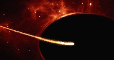 Побрезговала остатками звезды: ученые зафиксировали странное поведение черной дыры - focus.ua - Украина