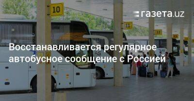 Восстанавливается регулярное автобусное сообщение с Россией - gazeta.uz - Москва - Россия - Санкт-Петербург - Узбекистан - Белоруссия - Казань - Ташкент