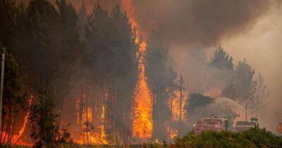 Францию и Испанию охватили масштабные лесные пожары: тысячи эвакуированных (ФОТО) - dsnews.ua - Украина - Франция - Испания - Португалия