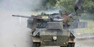 В Германии стартовали учения украинских военных на зенитных установках Gepard — СМИ - nv.ua - Россия - Украина - Германия - Берлин