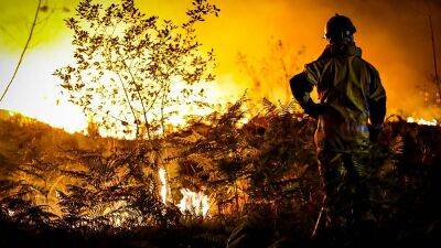 В западной Европе сгорели десятки тысяч гектаров леса - ru.euronews.com - Франция - Мадрид - Spain