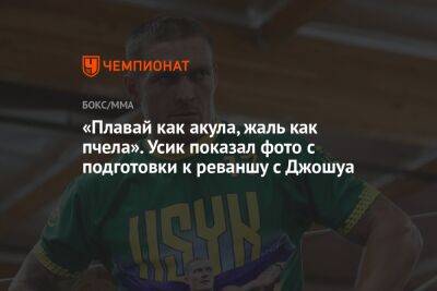 Александр Усик - Энтони Джошуа - «Плавай как акула, жаль как пчела». Усик показал фото с подготовки к реваншу с Джошуа - championat.com - Англия - Саудовская Аравия