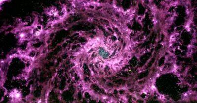 Джеймс Уэбб - Вселенная - Космический телескоп Уэбба обнаружил ужасающий галактический водоворот: что это такое (фото) - focus.ua - Украина - Дания - Копенгаген