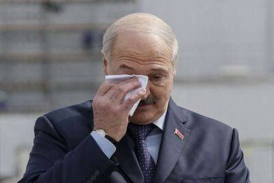 Евгений Медведев - Лукашенко - Лукашенко заявил, что Украина «пыталась нанести ракетный удар» по Беларуси - lenta.ua - Москва - Россия - Украина - Белоруссия - Германия - Минск