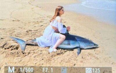 Россияне убили акулу ради фоток - korrespondent.net - Россия - Украина - Сахалин