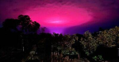 Австралия - Австралийцы заметили необычное розовое свечение в небе: причиной оказался каннабис (фото) - focus.ua - Украина - Австралия