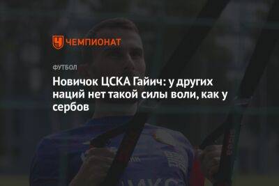 Андрей Панков - Валентина Сивкович - Новичок ЦСКА Гайич: у других наций нет такой силы воли, как у сербов - championat.com