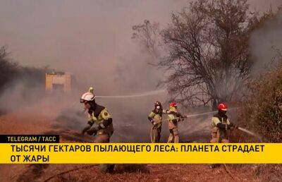 В Испании из-за угрозы пожаров эвакуированы более 8 тыс. человек: страну не покидает аномальная жара - ont.by - Белоруссия - Хабаровский край - респ. Саха - Испания