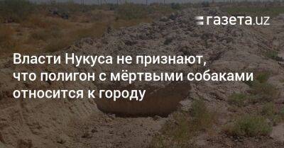 Власти Нукуса не признают, что полигон с мёртвыми собаками относится к городу - gazeta.uz - Узбекистан