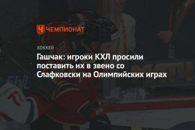 Петер Цегларик - Гашчак: игроки КХЛ просили поставить их в звено со Слафковски на Олимпийских играх - championat.com - Нью-Йорк - Словакия