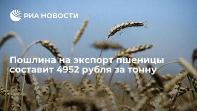 Минсельхоз: пошлина на экспорт пшеницы из России с 27 июля составит 4951,7 рубля за тонну - smartmoney.one - Россия