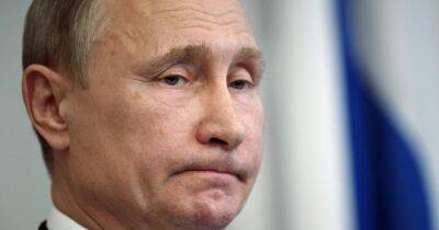 Владимир Путин - Дмитрий Медведев - Тимоти Снайдер - Путинский режим ослабевает: в Кремле идет подковерная борьба за власть, — эксперт - focus.ua - Россия - Украина