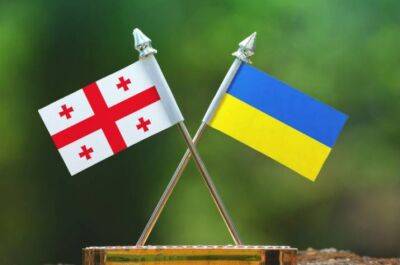 З 1 серпня в Грузії зміняться умови допомоги для переселенців з України - vchaspik.ua - Украина - місто Тбілісі