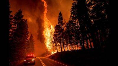 В Калифорнии из-за жары разбушевался крупнейший лесной пожар - usa.one - США - Вашингтон - Бостон - шт. Калифорния - штат Оклахома - штат Орегон - Филадельфия - Талс