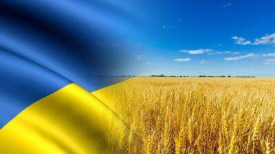 Саманта Пауэр - США работают над "планом Б" для экспорта украинского зерна после обстрела Одессы - pravda.com.ua - Россия - США - Украина - Одесса