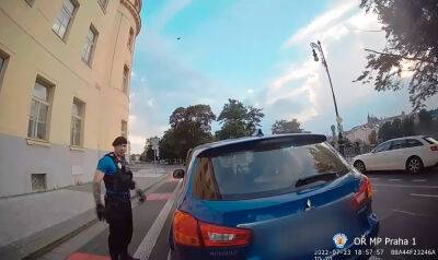 В Праге полицейские вытащили собаку из оставленной на жаре машины: видео - vinegret.cz - Чехия - Прага