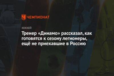 Тренер «Динамо» рассказал, как готовятся к сезону легионеры, ещё не приехавшие в Россию - championat.com - Москва - Россия - Нижегородская обл.