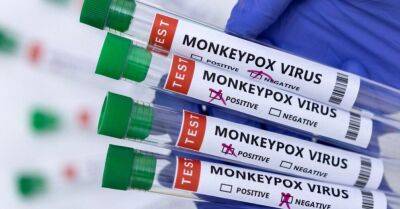 Еврокомиссия одобрила вакцину от обезьяньей оспы для использования в ЕС - rus.delfi.lv - Норвегия - Лихтенштейн - Латвия - Исландия