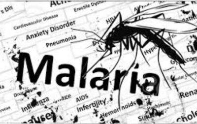 У жительницы Ровенской области обнаружили малярию - korrespondent.net - Украина - Танзания - Ровенская обл.