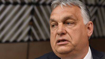 Виктор Орбан - Богдан Ауреску - Виктор Орбан выступил против смешения рас в Европе - ru.euronews.com - Румыния - Венгрия - Будапешт - Ауреск