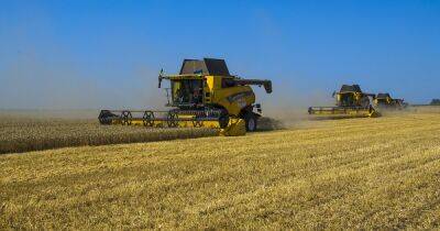 Хлебное время. Как Украина во время войны собирает урожай (фото, комментарии аграриев) - focus.ua - Украина