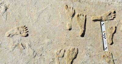 Появляются и исчезают. В США нашли "призрачные" отпечатки ног возрастом 12 тысяч лет (фото) - focus.ua - США - Украина - Юта